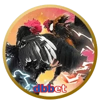 dbbet