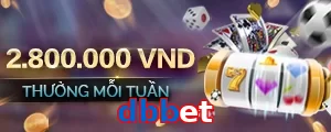 dbbet