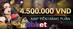 dbbet