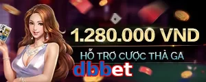 dbbet