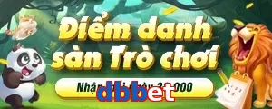 dbbet