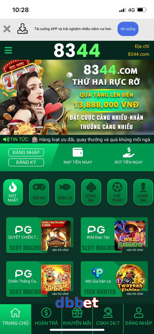 dbbet