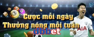 dbbet