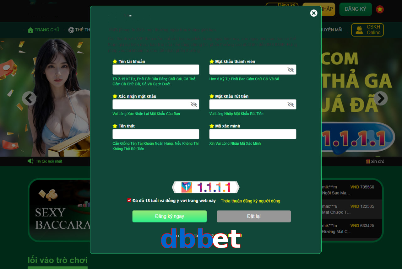 dbbet